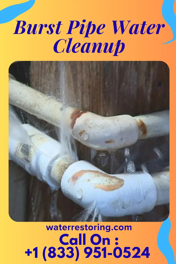 Burst Pipe Water Cleanup in Spout Springs, NC
