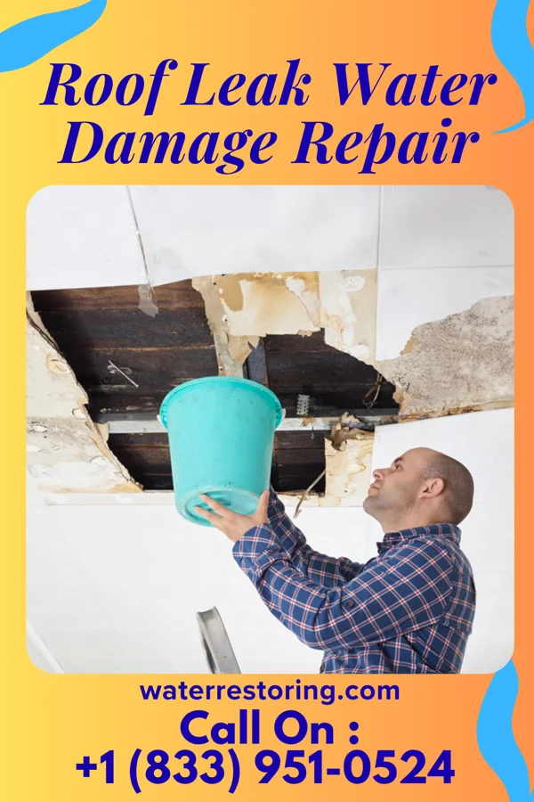 Roof Leak Water Damage Repair in Spout Springs, NC