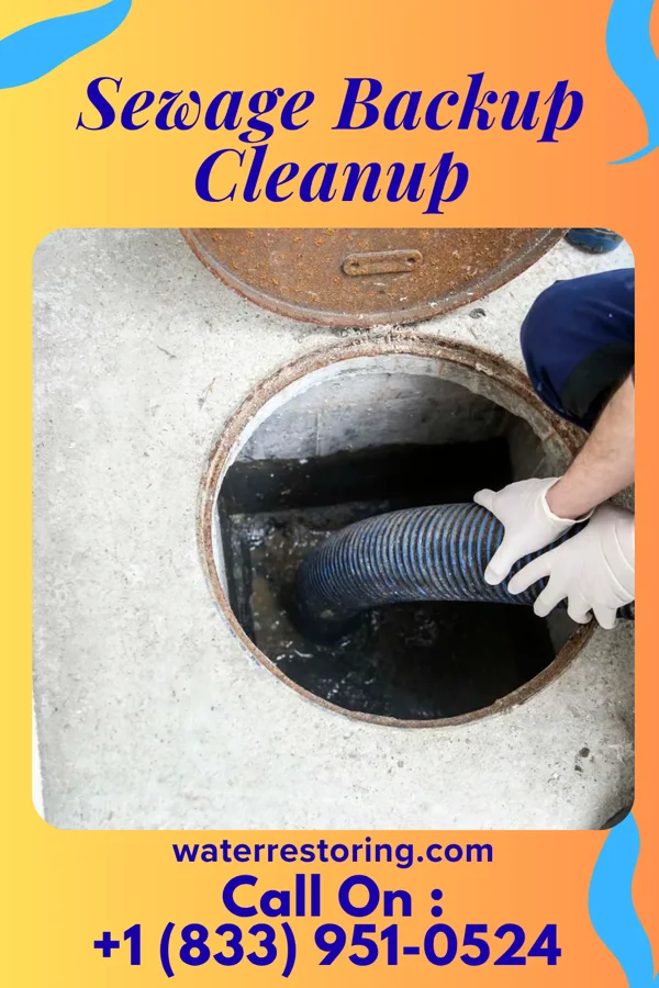 Sewage Backup Cleanup in Spout Springs, NC