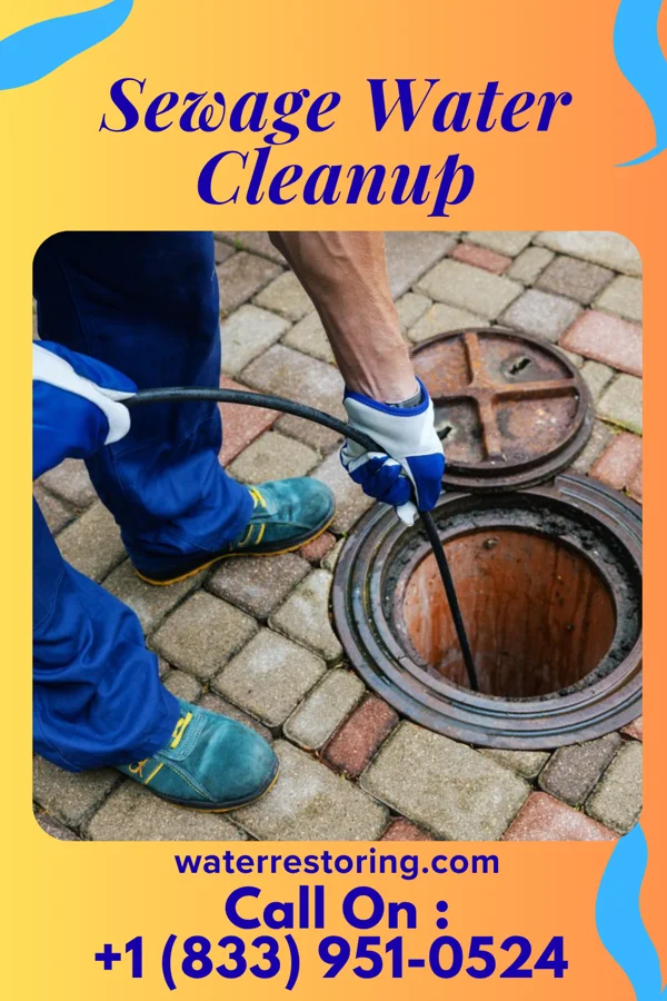 Sewage Water Cleanup in Spout Springs, NC